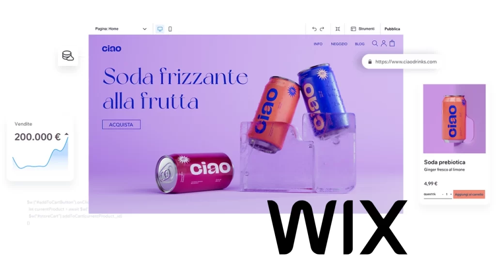 WIX CMS SEO